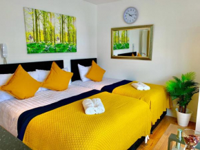 London Studio Apartments, Private Bathroom, Kitchenette, Parking, NP6